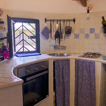 فيلة Blu Silence *